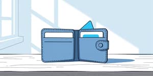 The Minimalist's Guide to Credit Card Ownership