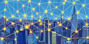 The Network Effect: Value Creation in Connected Markets