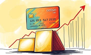 The Journey to a High Credit Limit: Strategies Explored